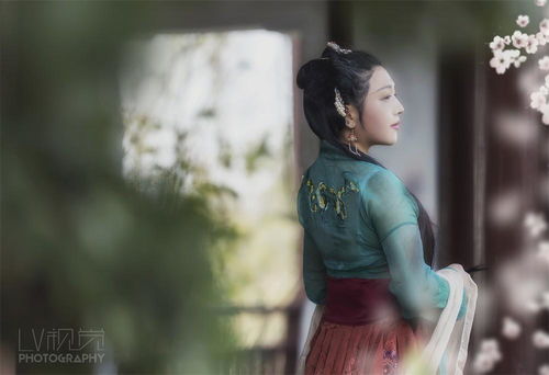 古装美女精致侧颜唯美古风摄影5