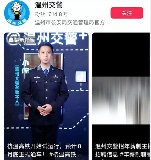 网红女交警辞职,她将成为下一个老陈