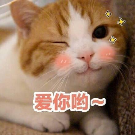 作为女生,你怎么能不来收这波表情包可爱又撩人,女生专用