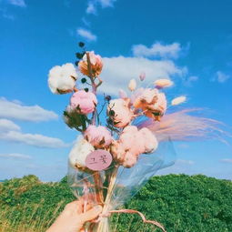 适合女人的超漂亮花朵唯美头像放不下