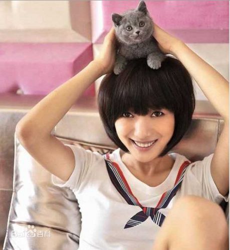 女生头像可爱猫猫相映成趣
