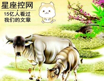 11月,这些属相的人逢喜事,赚入横财喜事成双