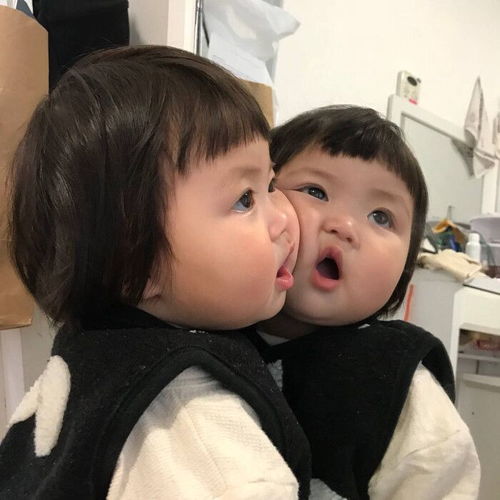 有哪些可爱的孩子头像