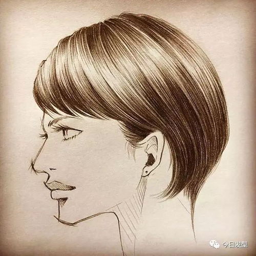 男女发型手绘