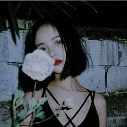 15句情感语录牵手需要很多年,放手只需一瞬间