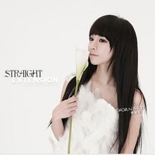 hotsale1pcsclipstraightextensioncolors60cmtb772ebay