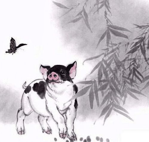 猪人斗不过天报应来了给你带来大灾祸
