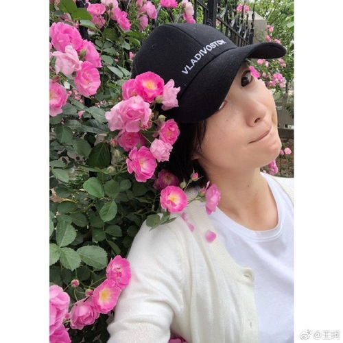 长得漂亮,24岁走红,如今37岁单身似少女,却变得越来越不红