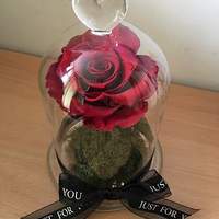 全人手制作迪士尼disney美女与野兽beautyandthebeast保鲜花玫瑰花生日母亲节礼物