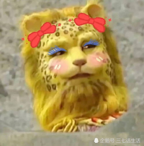 超火的金钱豹头像它连猪都打不过,你指望它发财