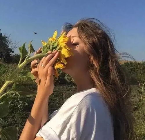 头像篇我在酒店的走廊里铺满了玫瑰花