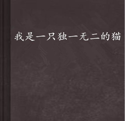 我是一只独一无二的猫