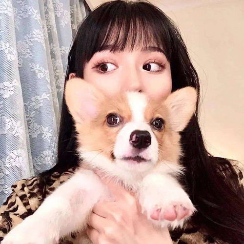 浪漫女头生活里还是有个喜欢的人才有意思