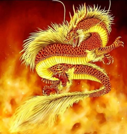 二零二零二月二,好日子,时来运转,好运到来