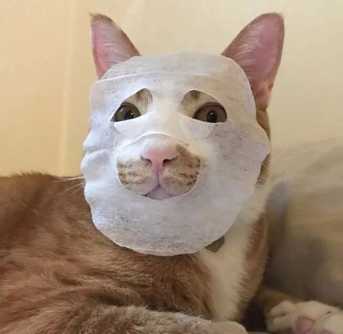 快看,是不是你村里的姑娘
