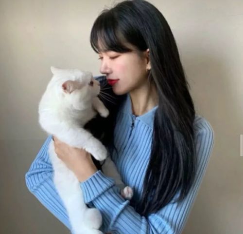 ins超仙蓝色系女头