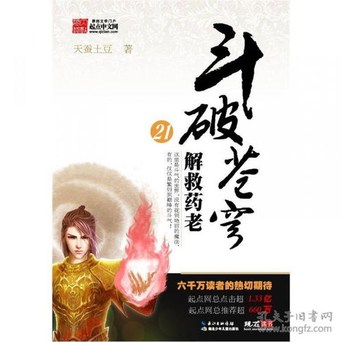 孔网分类