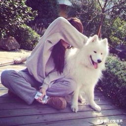 狗最难忍受5种味道,最后一种闻之欲呕,铲屎官最爱让它们闻