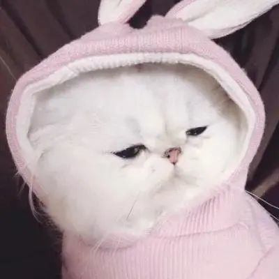 自己一个人住是什么体验头像