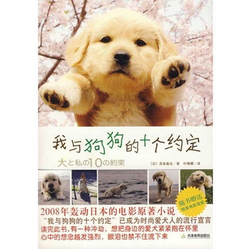 头像女和狗在一起的十个约定
