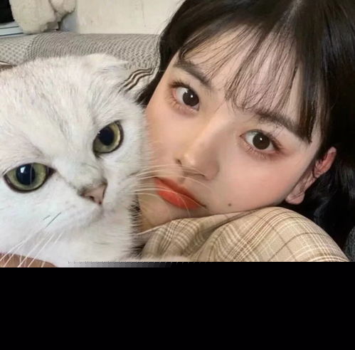 美少女头像,猫控报道,你是喵喵女神吗