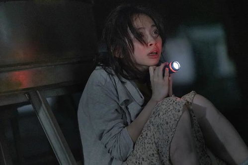惊悚视频谁家强五部不得不看的恐怖伪纪录片
