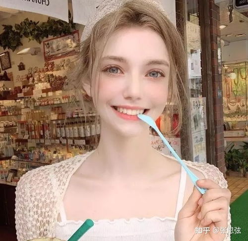 东北人去海南都干些什么