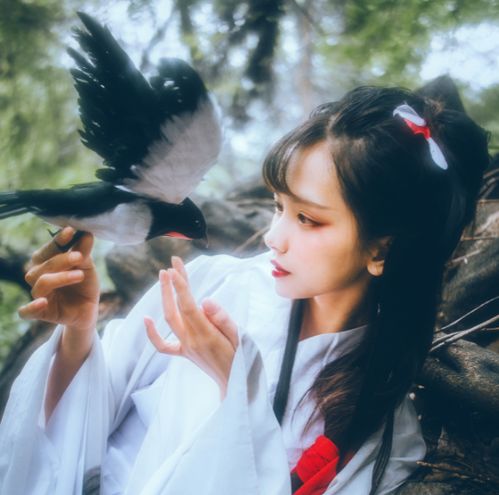 5个生肖女,生肖鸡在内心上是很敏感的,肖龙对虚伪的朋友也不想联系