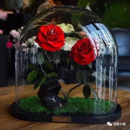 终于等到了美女与野兽玫瑰花现实还原