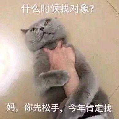 女生微信头像可爱沙雕沙雕