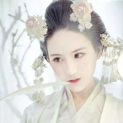 狂妃在上绝色帝尊日夜宠百刷不腻,暗黑系男主太禁欲