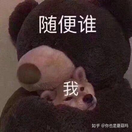 为什么女生喜欢频繁更换头像