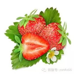 草莓头像女生背影草莓