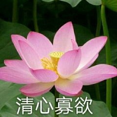 一组老年人头像花开富贵请求添加好友з