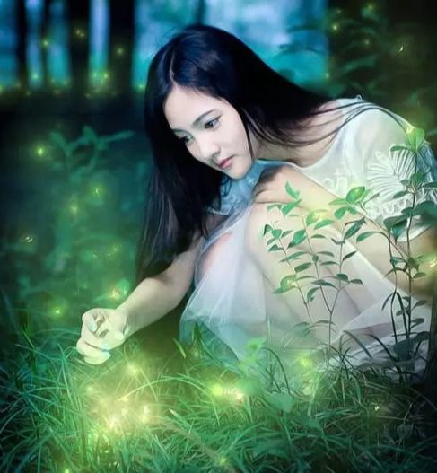 散文牛文丽萤火的联想