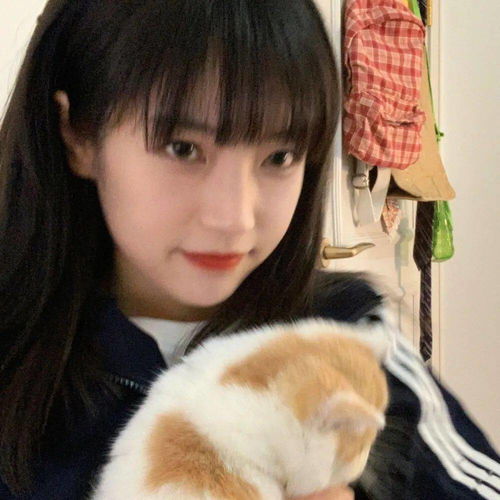 头像最近猪肉涨价难怪你说话都硬气了许多