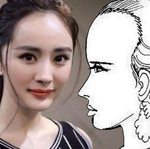 这儿太过饱满,女定克夫,男必破财,一生坎坷不顺搜狐星座搜狐网