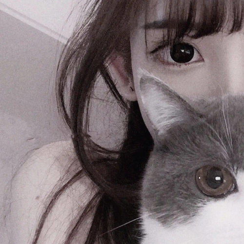个性小众女生头像集