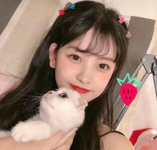 儿媳满身淤青,婆婆却装可怜说她自己摔的,儿子提前回家逮个正着