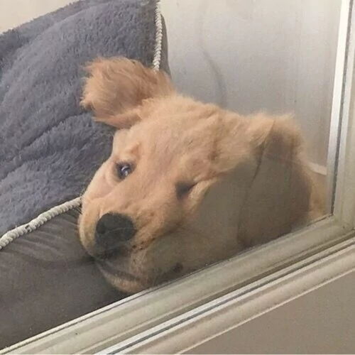看内容