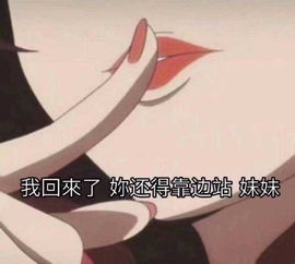 收藏夹