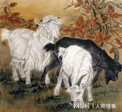 哪些月份出生的属羊人,福气大,贵人不少,旺财运兴家运受到眷顾