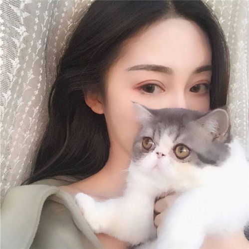 一个女生在喂猫头像美短