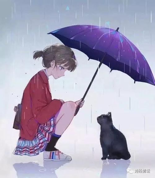 16句暗示我爱你的甜蜜小情话,女生表白专用