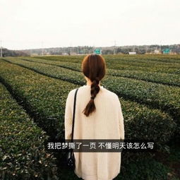 有没有背影女神头像