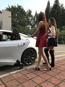 美女网红开特斯拉送货这个双十一罗马仕玩的溜