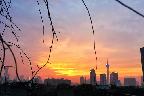90后小美女花1200元,硬是把破烂屋塔房生生改造成了ins风景观房