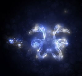 十二星座女生的理想情人英语星座英语