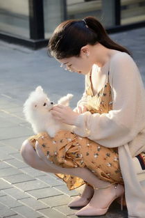 甜美系女生,抱着小狗狗,画面唯美,温馨幸福