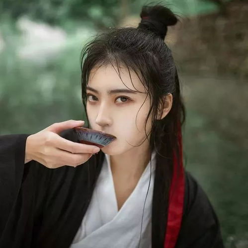 纵马笑尽杯酒,仍是旧时少年